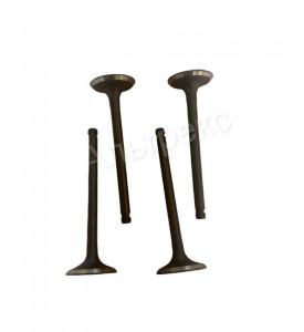 Клапан выпускной К15-21