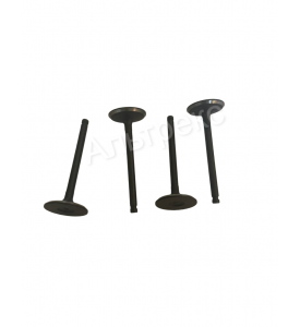 Клапан впускной К15-21