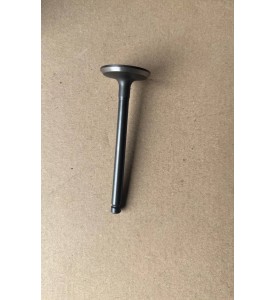 Клапан впускной 1DZ