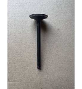 Клапан впускной S4Q2