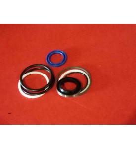 Ремкомплект поршня ГДП Inoma 11563142T/156403